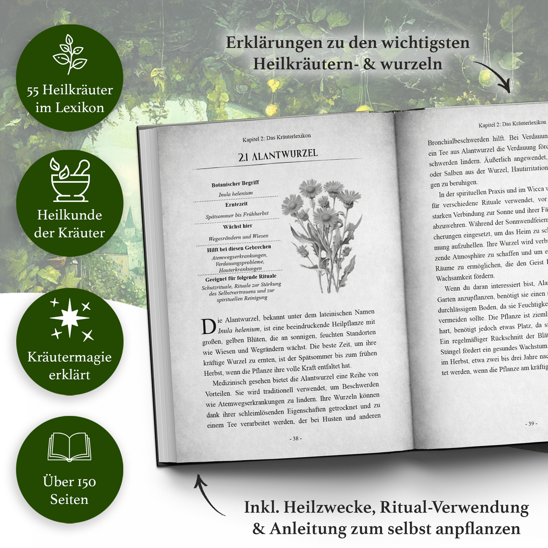 WICCA 3 – Handbuch der Kräuterkunde